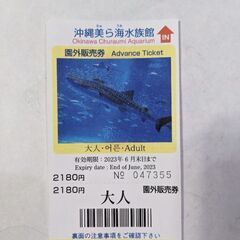 美ら海水族館チケット
