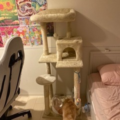 ネコ　猫　キヤットタワー