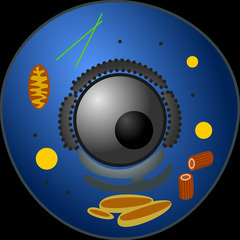 細胞再生を知るには！？＜細胞科学セミナー＞