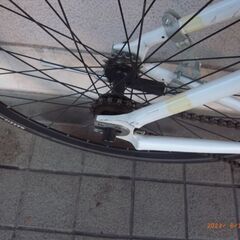 Wコグ 両歯装備 軽量【ブルホーンハンドル・ピストバイク・アルミ