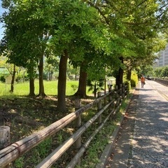 江東区　散歩