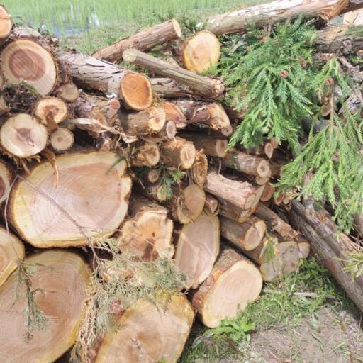 針葉樹 杉 薪ストーブ 薪 軽トラ積み放題