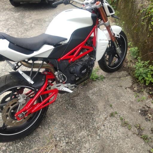 メガリ 250S 不動 書類付 Megelli | juniorssantperemd.com