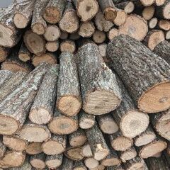 薪の王様 椚玉切り材 中〜小径木 期限あり
