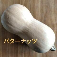 野菜種子いろいろ