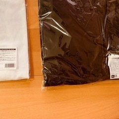 Reunion TOUR(リユニオンツアー)シャツ　ジャケット（未使用）