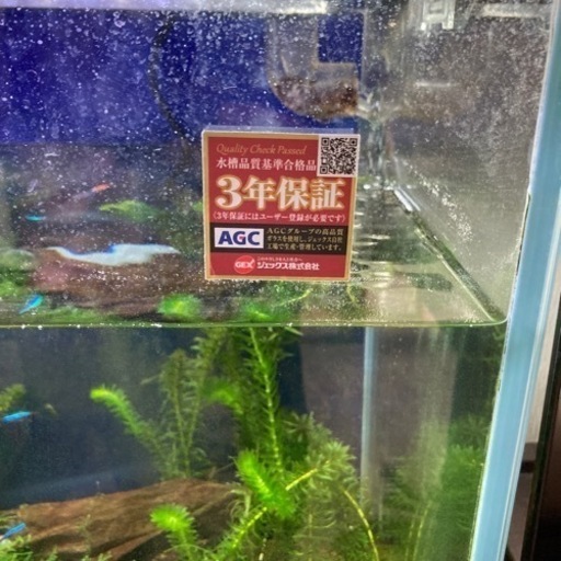 水槽&濾過装置 引き取り先決まりました！