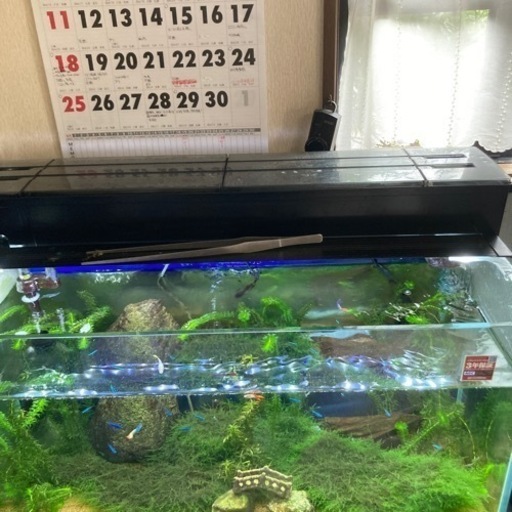 水槽&濾過装置 引き取り先決まりました！