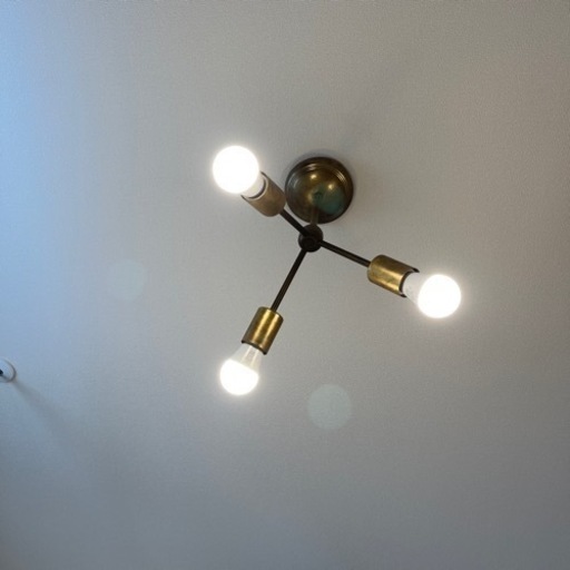 journal standard 照明 シャンデリア 真鍮