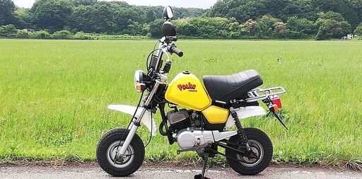 【実動車】ヤマハ　YAMAHA　ポッケ　pocke　ノーマル車です