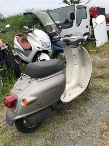 ホンダ ジョルノ AF24 書類付実働ベース車 | www.opticalentcenter.co