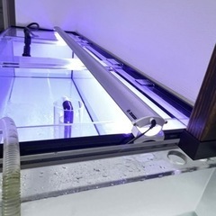 定価六万　美品