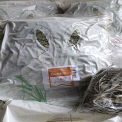 うさぎ飼育セット