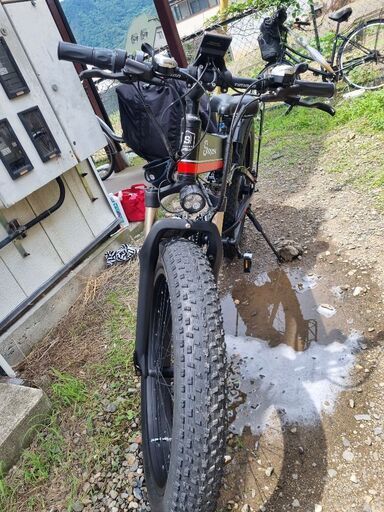 その他 Electric bicycle