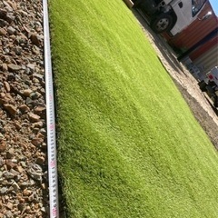 Raoul Dufy、ATELIER、海外版超希少レゾネ、新品額付