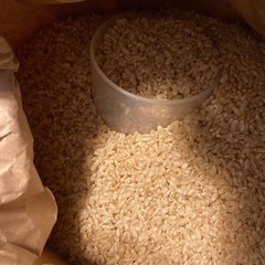 ＊取引中＊玄米　約10キロ