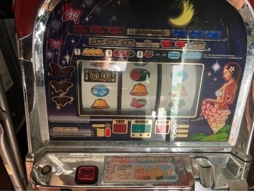 南国育ち
