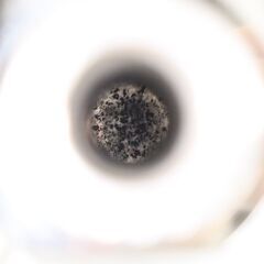 【ヤ取】≪J937ジ+≫エーテック株式会社 液体窒素 貯蔵・運搬容器 CRIC-5/クリック5 業務用/工事用/研究用 運搬用/保管用 内容積/5L 小型 現状品 