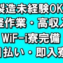 コツコツ｜手の平サイズ不良品選別｜即入寮可能