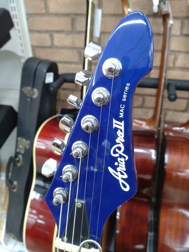 AriaProII エレキギター MACシリーズ 24F SSH トラ杢