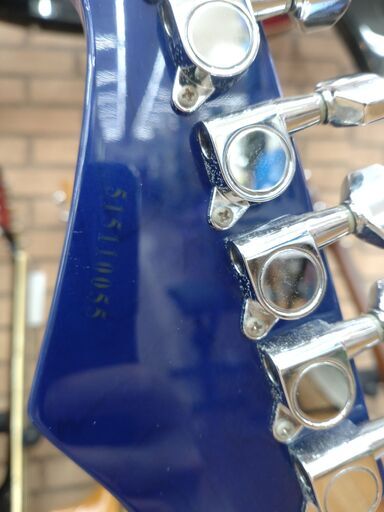 AriaProII エレキギター MACシリーズ 24F SSH トラ杢