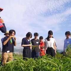 【7/23(日)】真夏の朝採れトウモロコシを、一年で最もおいしい瞬間に畑で食べる会 - イベント