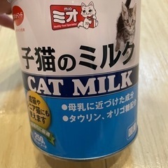 保護猫ちゃんに粉ミルク
