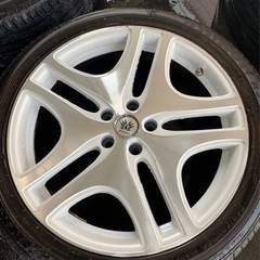 人気レアマイスター/バルク　札幌発