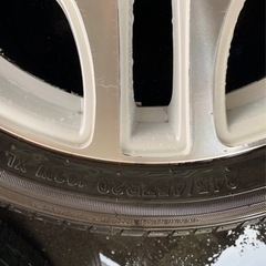 人気レアマイスター/バルク　札幌発