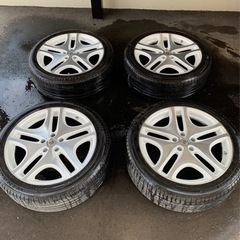 人気レアマイスター/バルク　札幌発