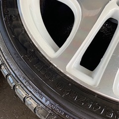 人気レアマイスター/バルク　札幌発