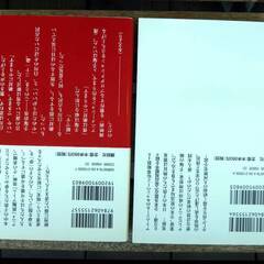 皆河有伽「小説　手塚学校（副題）日本動画興亡史」【全2冊・揃い】