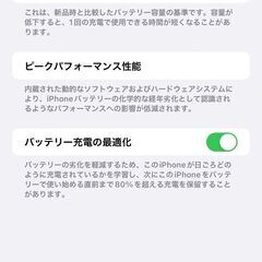 おまけ 美品 sim2 iPhone13pro max 256g SIMフリー
