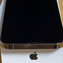 おまけ 美品 sim2 iPhone13pro max 256g SIMフリー