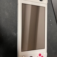 Nintendo Switch Lite & あつまれどうぶつの森
