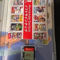 Nintendo Switch Lite & あつまれどうぶつの森