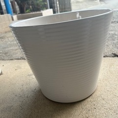 大きめの白色植木鉢
