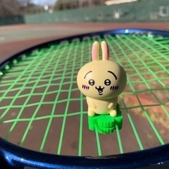 松葉公園で、早朝テニス　アラフォー多い