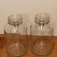 ボルミオリロッコ　ガラス密閉保存容器　4L　２個