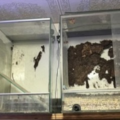 ケージ 多数 現状引き渡し
