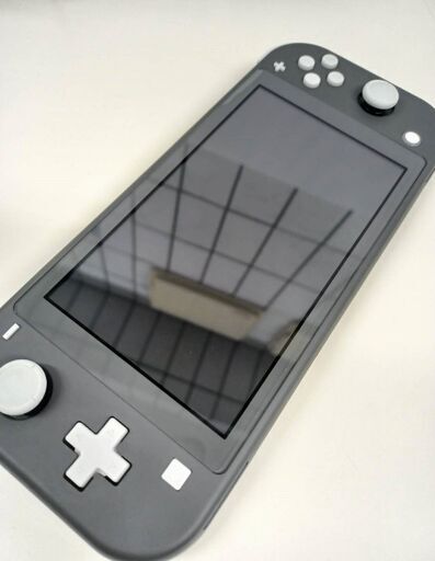 Nintendo Switch Lite グレー/新品ハードカバーセット！ Nintendo