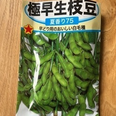 極早生枝豆の種