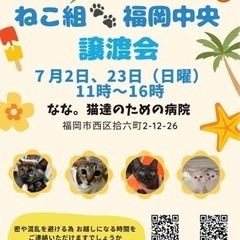 7/23 ねこ組🐾福岡中央譲渡会　なな。猫達のための病院