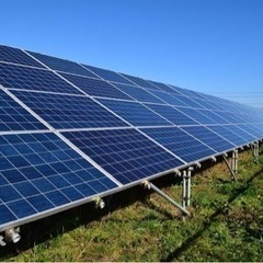 太陽光発電所 除草管理