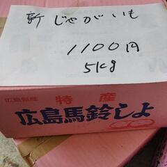 安芸津赤じゃが　5キロ１１００円　品種出島