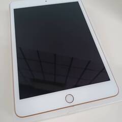 Wi-Fiモデル】iPad mini 第5世代 MUU62J/A (A2133) 256GB