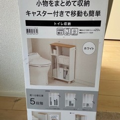 終了【無料】未完封　トイレ収納