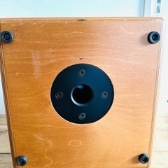 ACUS  One For Strings 6T アコースティックアンプ