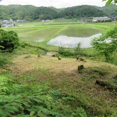 週末キャンプや家庭菜園ができる原野と本格農業向けの田（仲介）