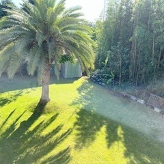 お庭貸し(撮影、バーベキュー、ヨガ、ドッグラン等)